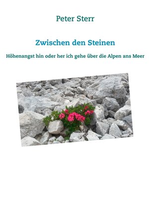 cover image of Zwischen den Steinen
